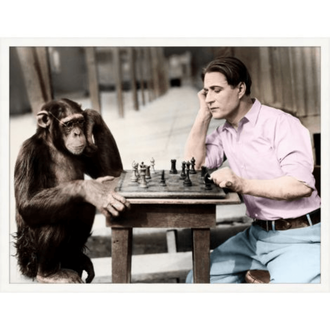 Checkmate - Noble Designs