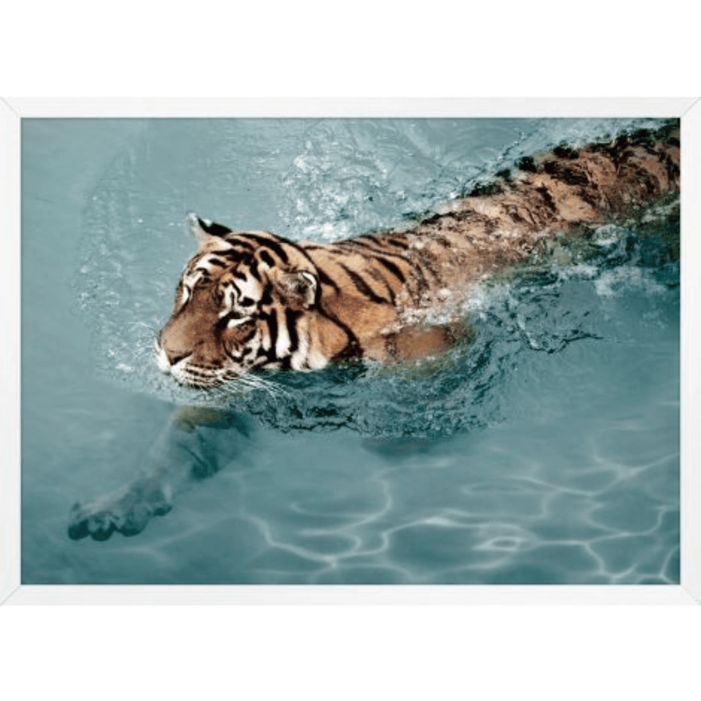 Tiger Swim 2 - Noble Designs