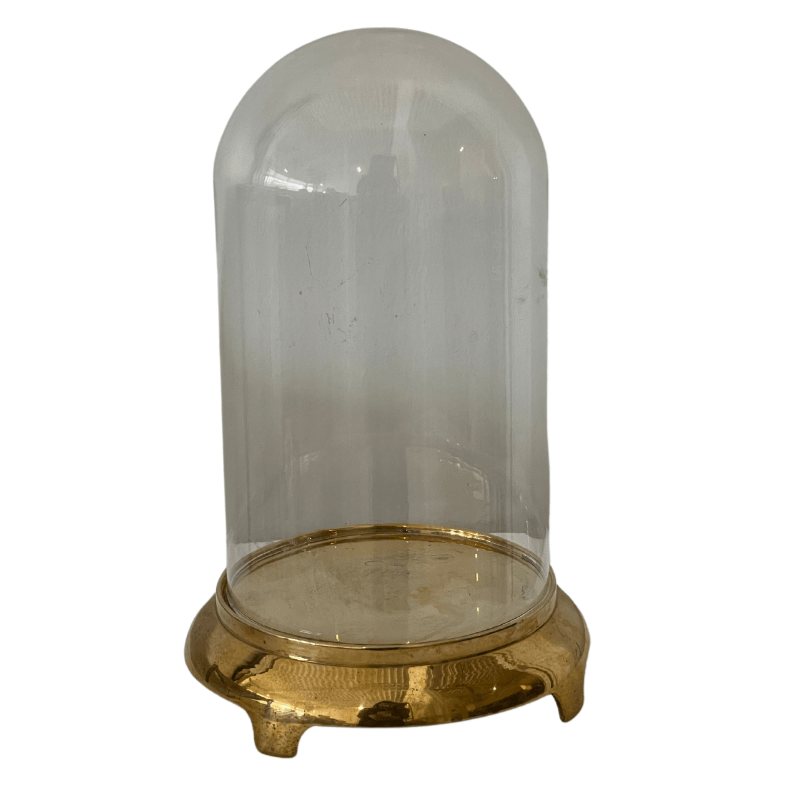 Vintage Brass Tall Glass Cloche - Noble Designs