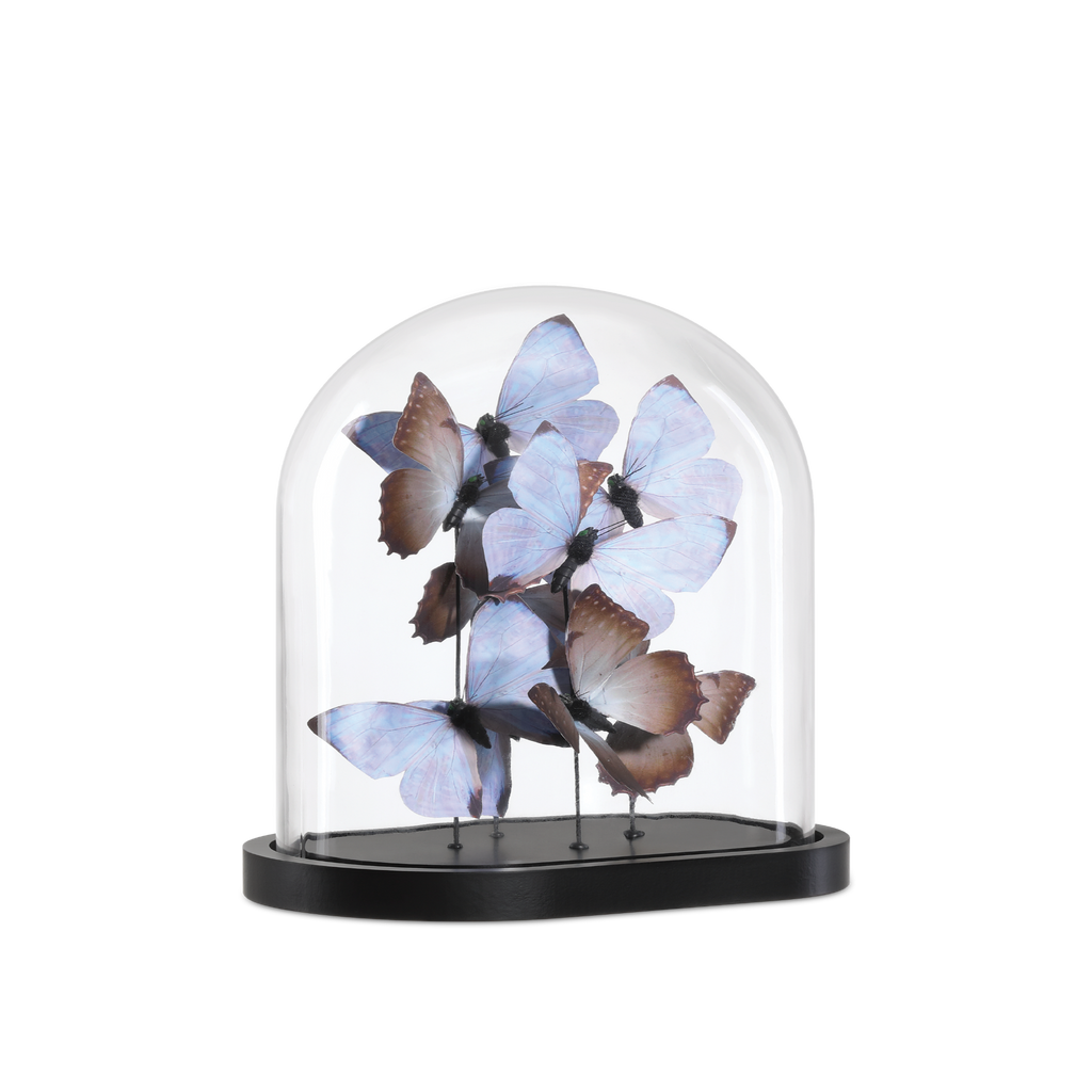 Rue de Bac Lilac Medium Butterflies - Noble Designs