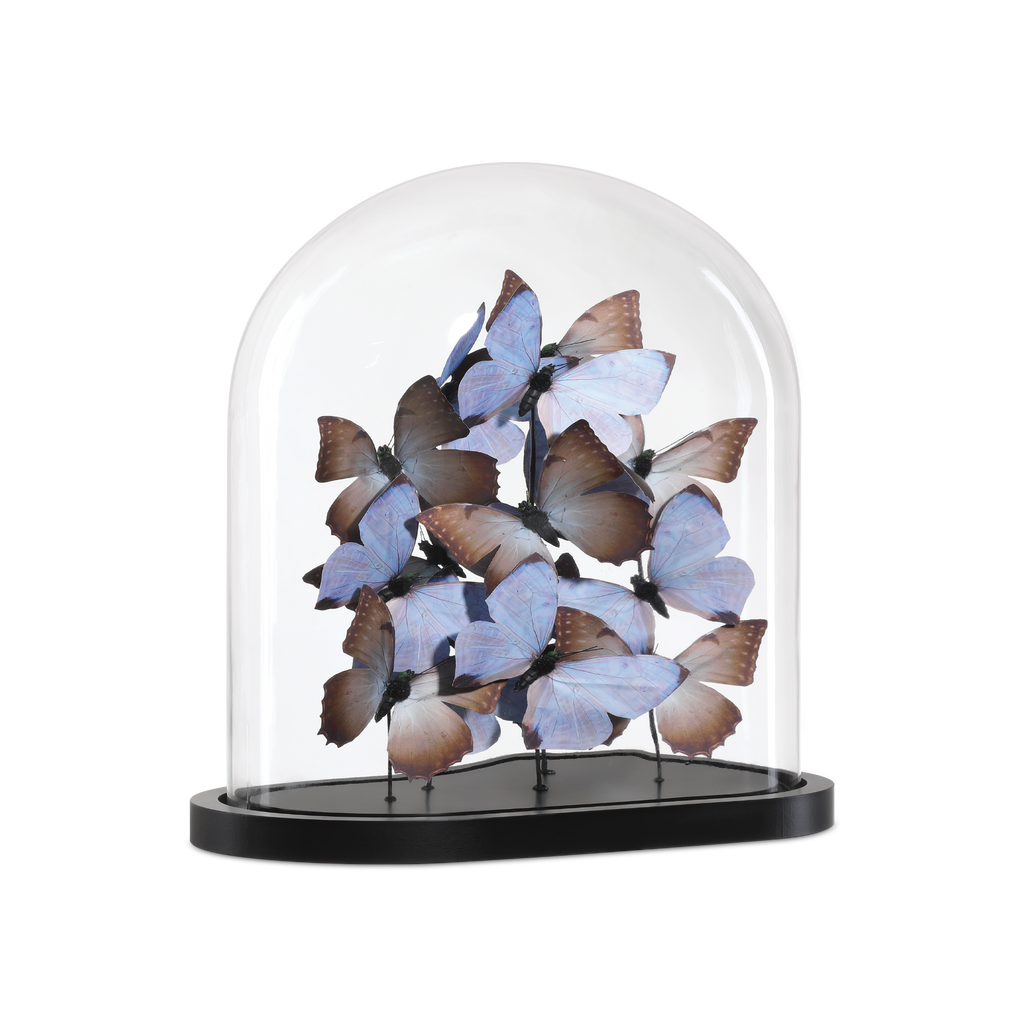 Rue de Bac Lilac Large Butterflies - Noble Designs