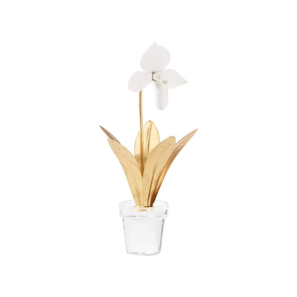 Lady Slipper Orchid - Noble Designs