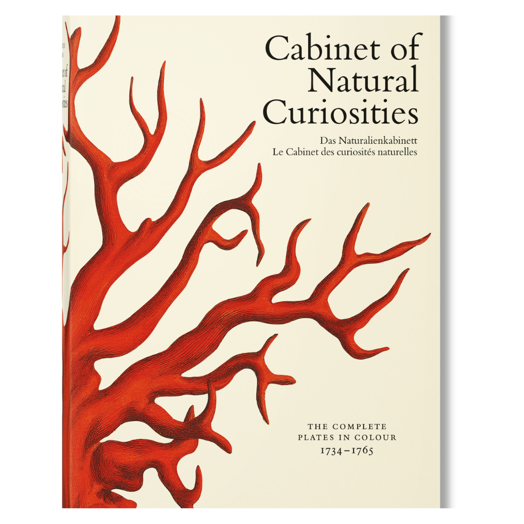 Seba. Cabinet of Natural Curiosities - Noble Designs