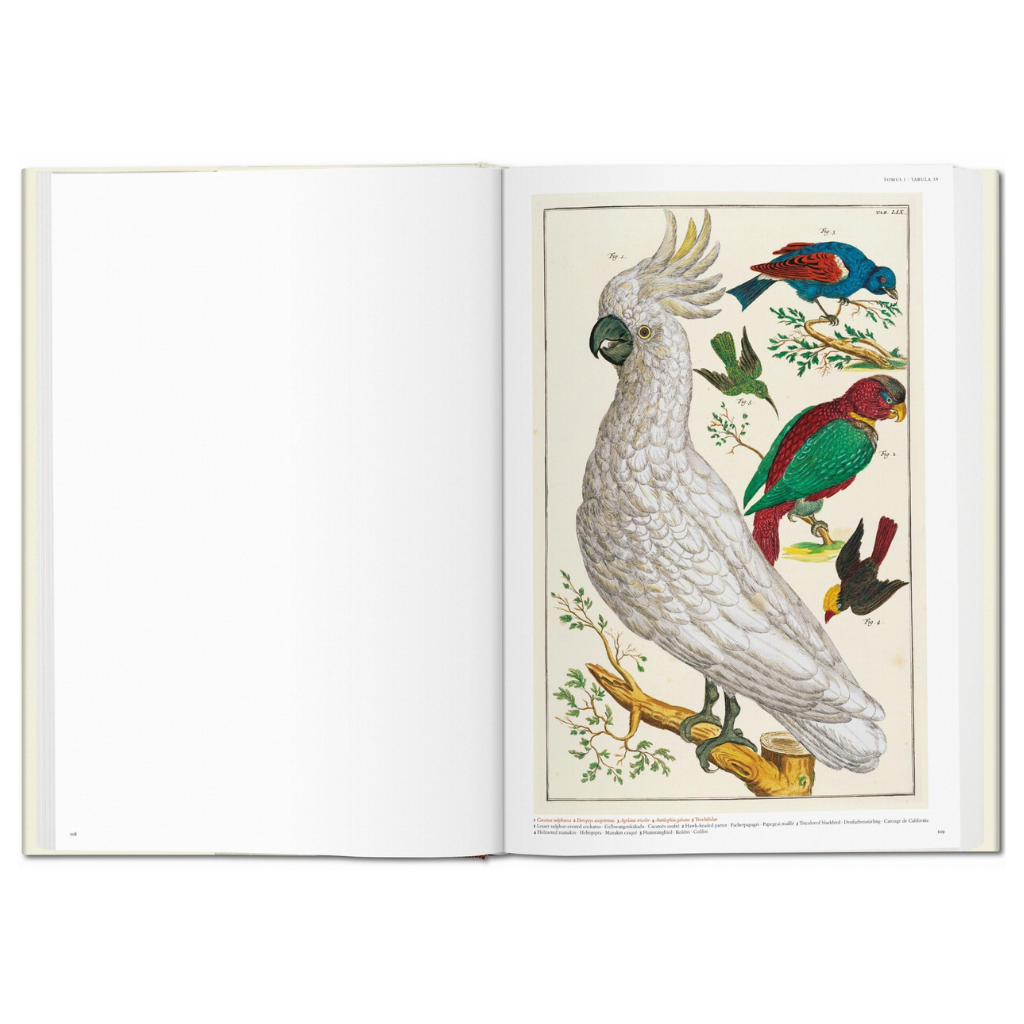 Seba. Cabinet of Natural Curiosities - Noble Designs