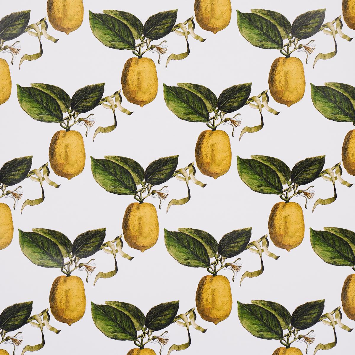 Le Citron Wallpaper - Noble Designs