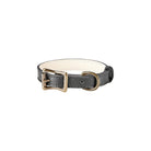 Small Dog Collar - Noble Designs
