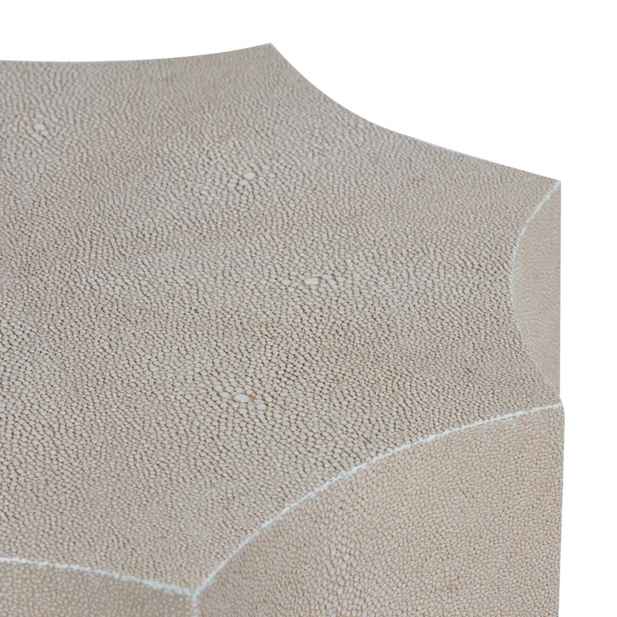 Marilyn Shagreen Side Table-Noble Designs