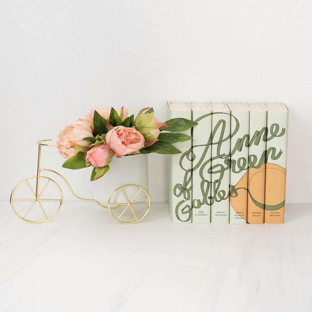Anne of Green Gables Book Set - Noble Designs