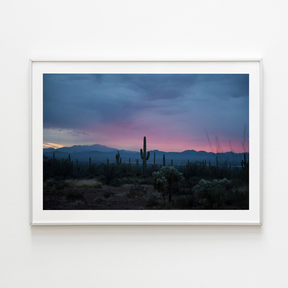 Saguaro - Noble Designs