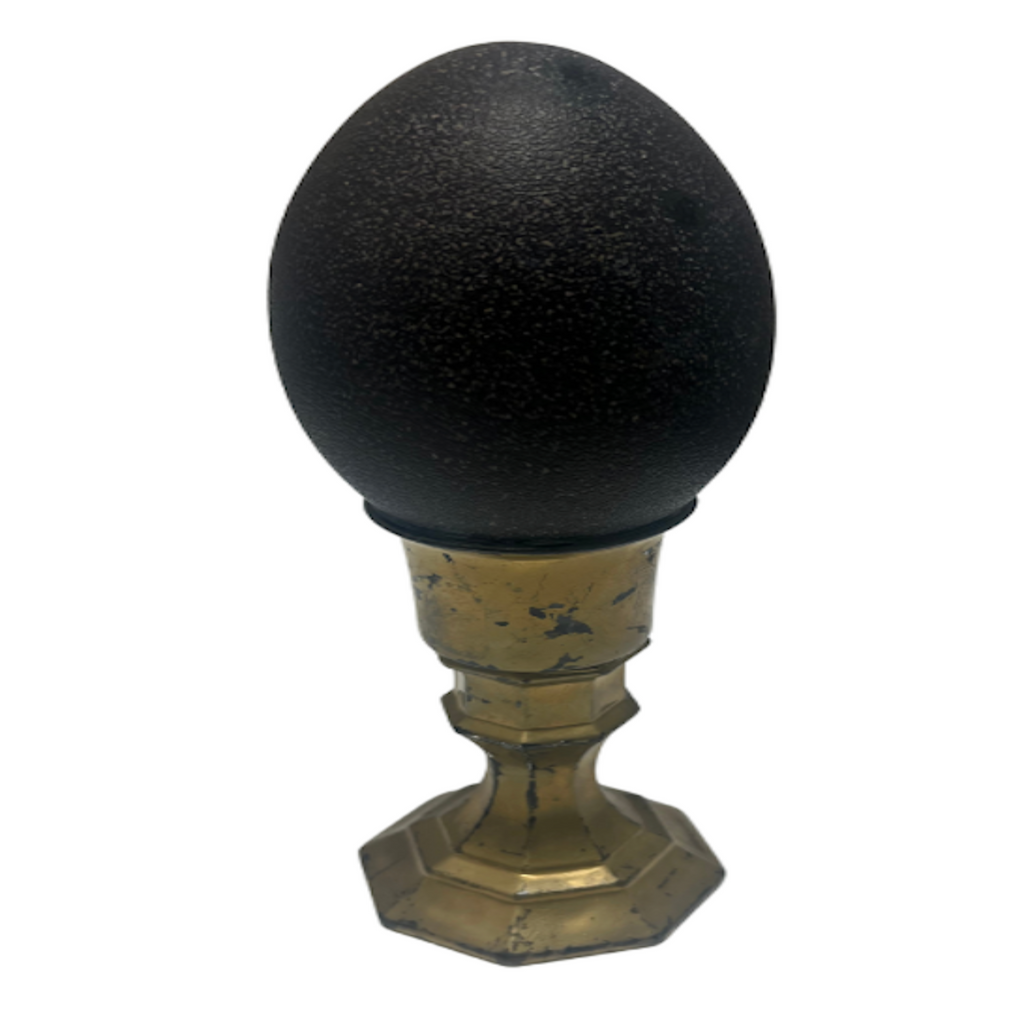 Vintage Small Pedestal Emu Egg  - Noble Designs