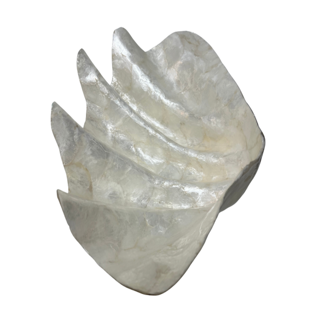 Vintage Large Clamshell - Noble Designs