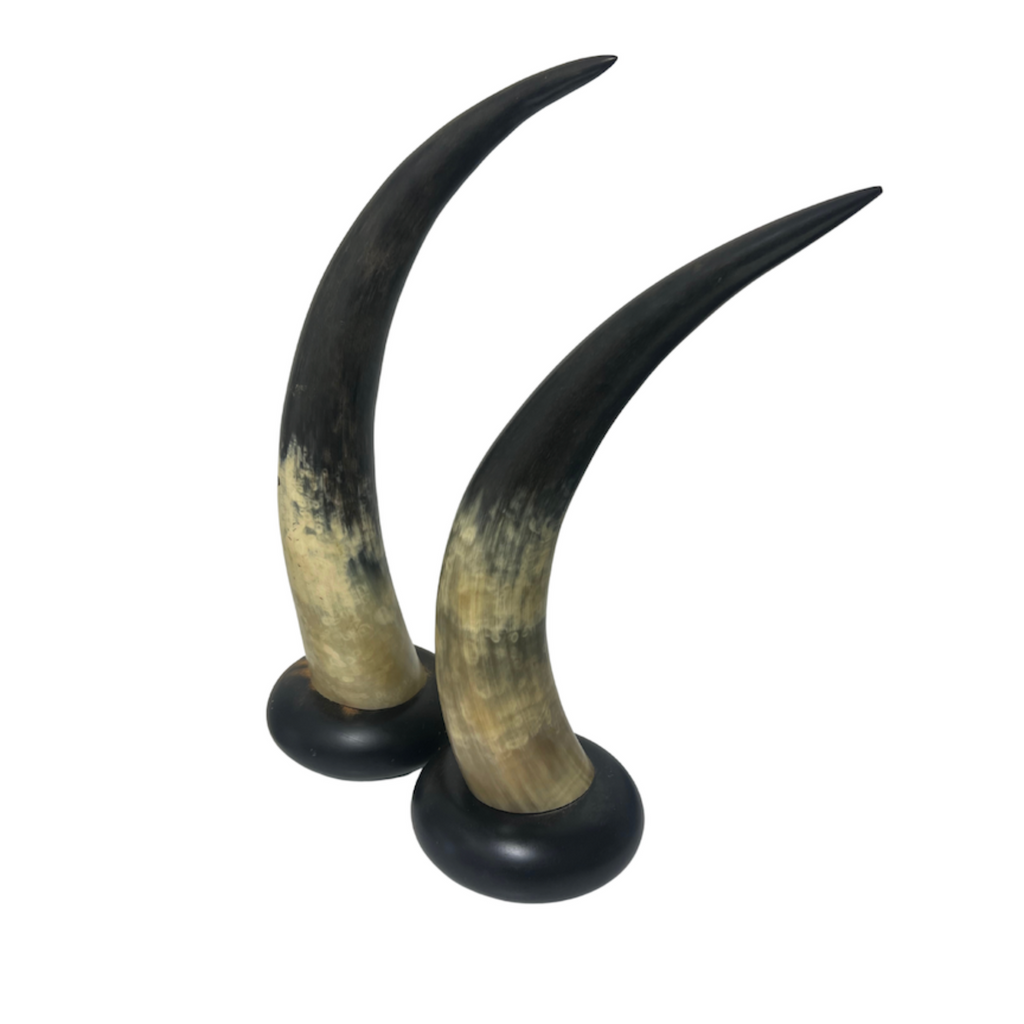 Vintage Steer Horns, Set of 2 - Noble Designs