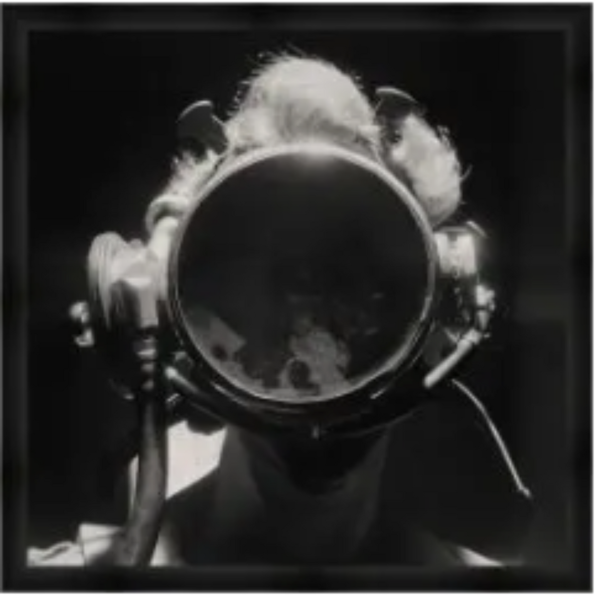 Looking Beyond the Lens - Noble Designs