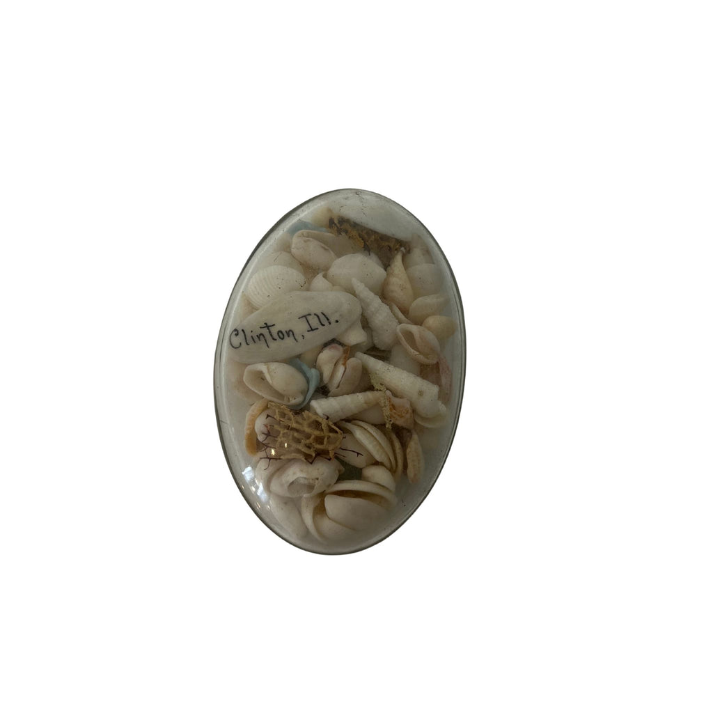 Vintage Oval Sea Shell Paperweight - Noble Designs
