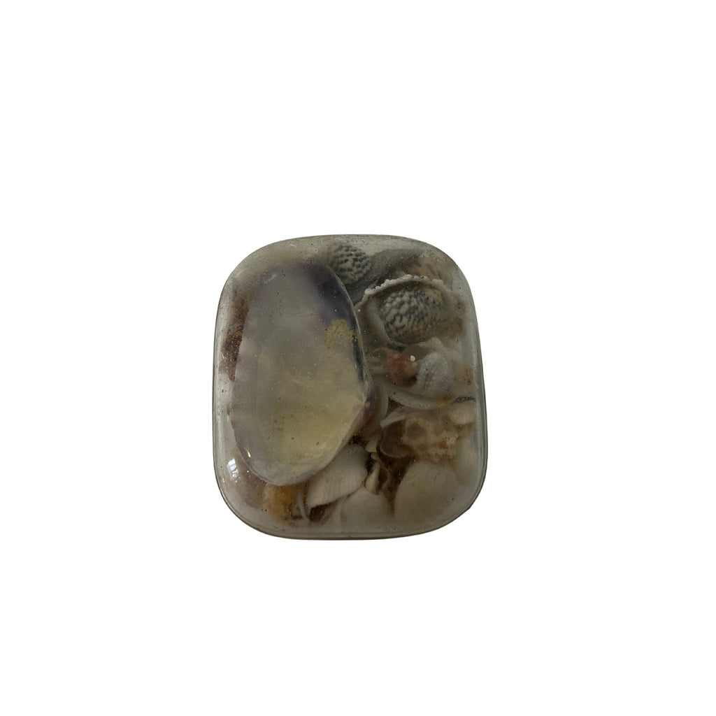 Vintage Rectangle Sea Shell Paperweight - Noble Designs