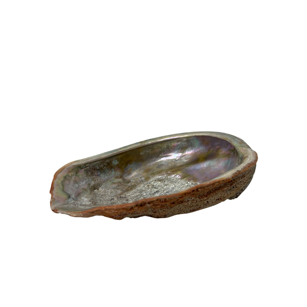 Vintage Shell Dish - Noble Designs
