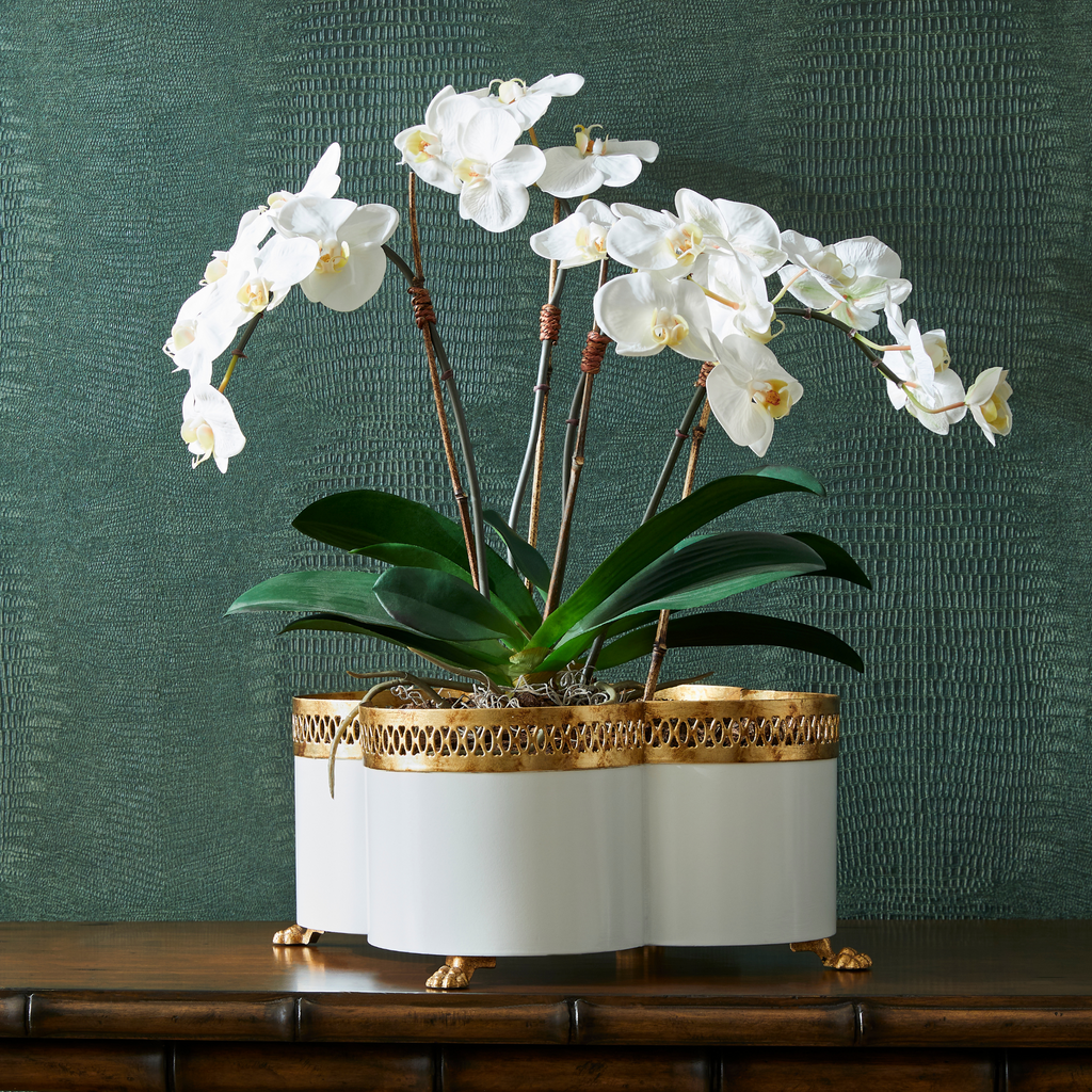 Tracery Cachepot in Cream - Noble Designs2