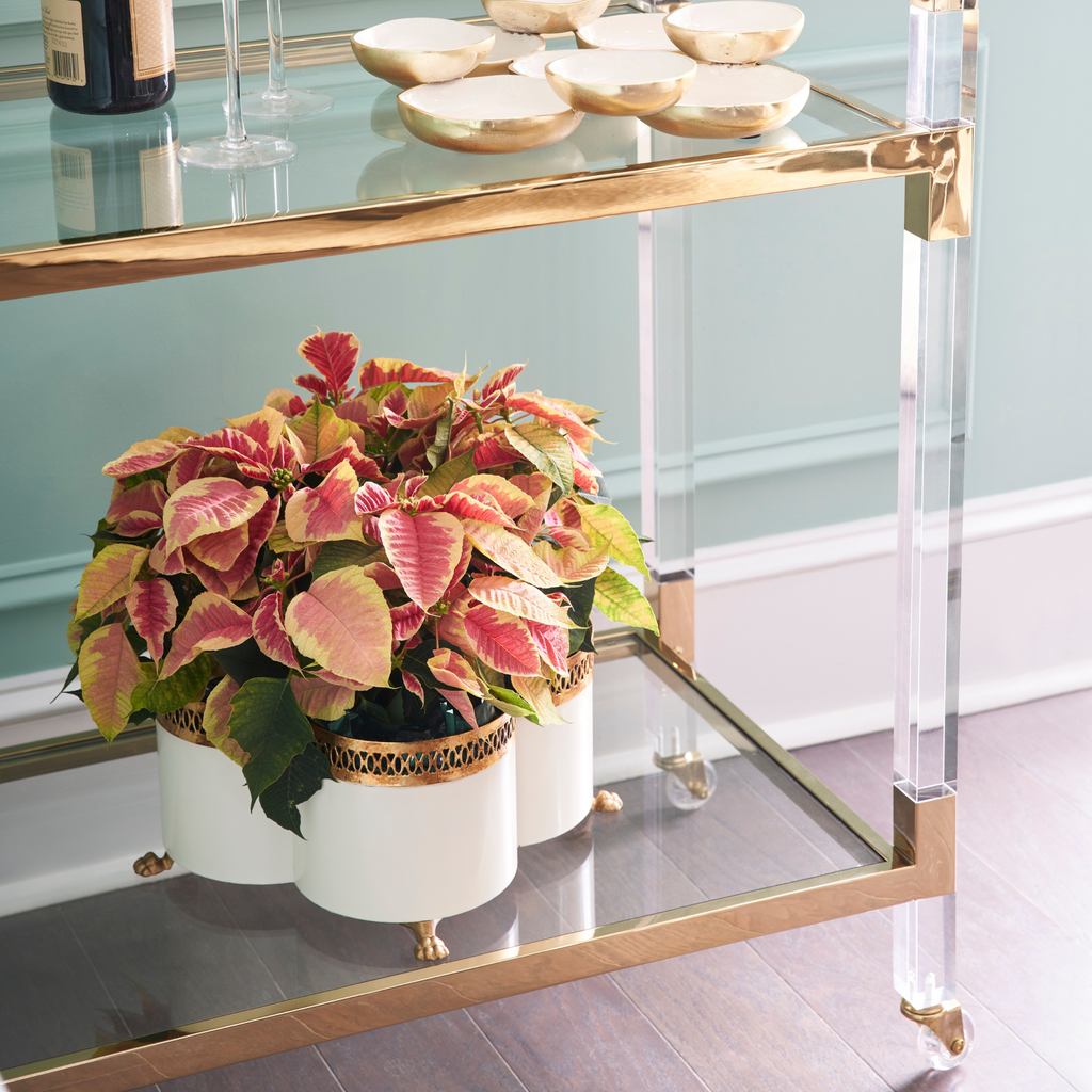 Tracery Cachepot in Cream - Noble Designs3