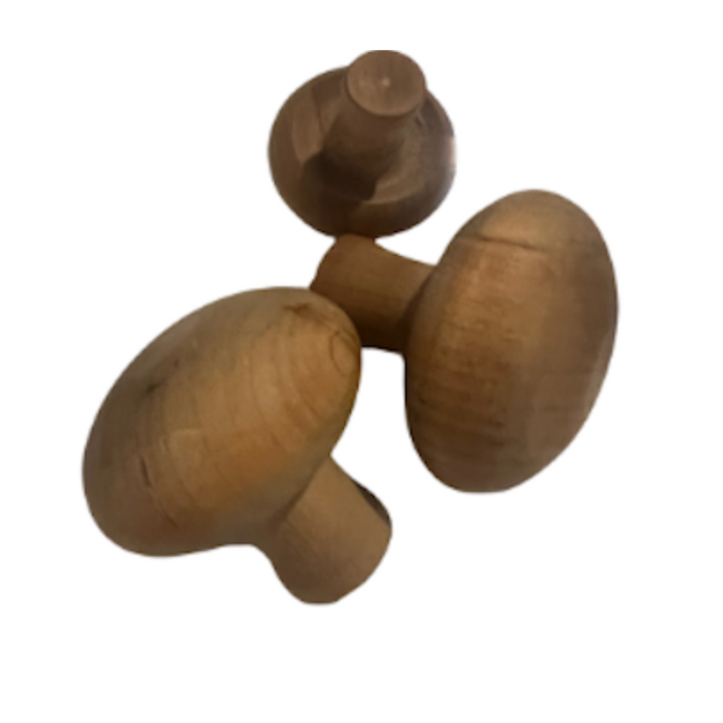 Vintage Wooden Fruit and Veggies - Noble Designs