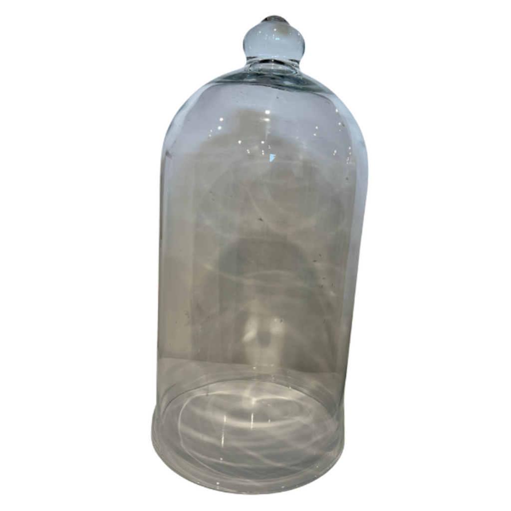 Vintage Glass Cloche - Noble Designs