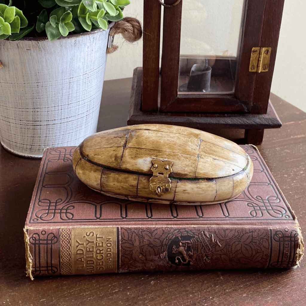 Antiqued Oval Bone Box - Noble Workroom