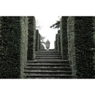 Ascending Elegance - Noble Designs