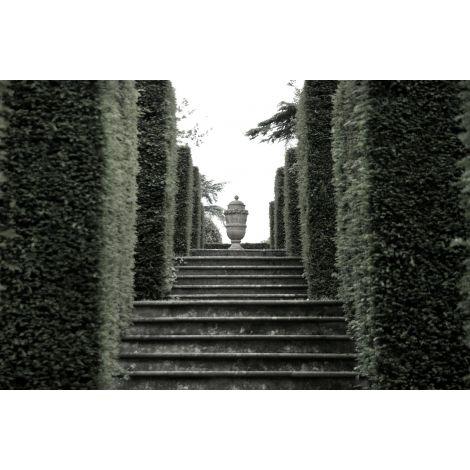Ascending Elegance - Noble Designs