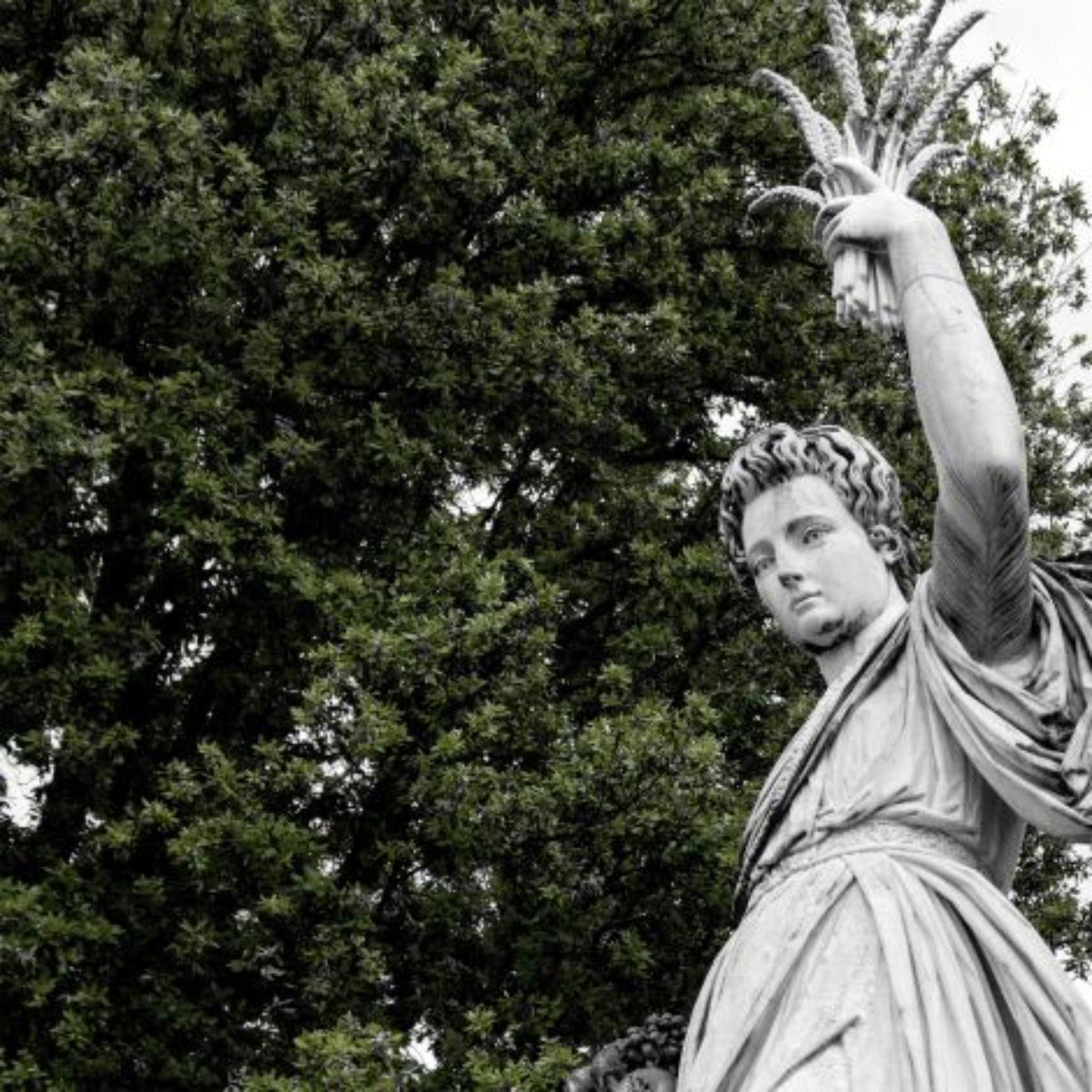Garden Reverence - Noble Designs