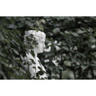 Garden Seer - Noble Designs