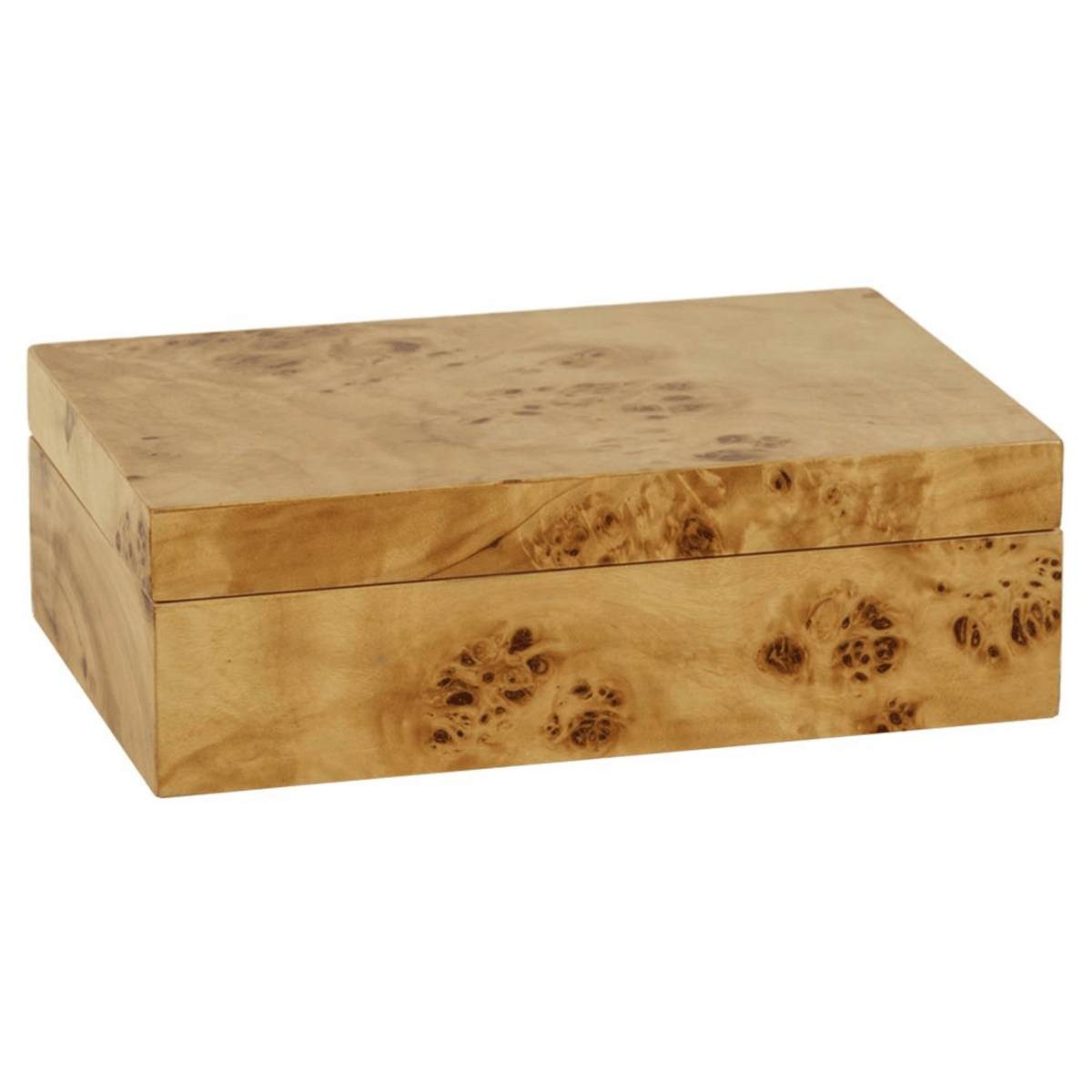 Leiden Burl Wood Design Box - Noble Designs