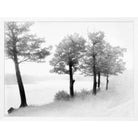 Treeline - Noble Designs